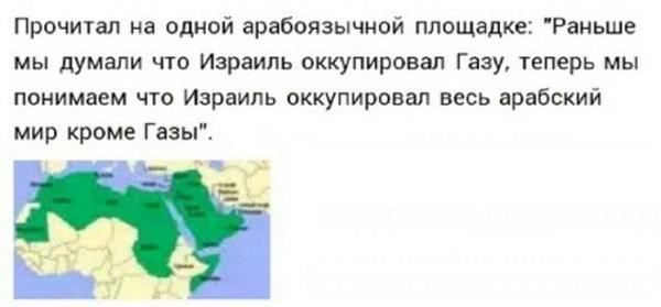 КАВПОЛИТ tweet media