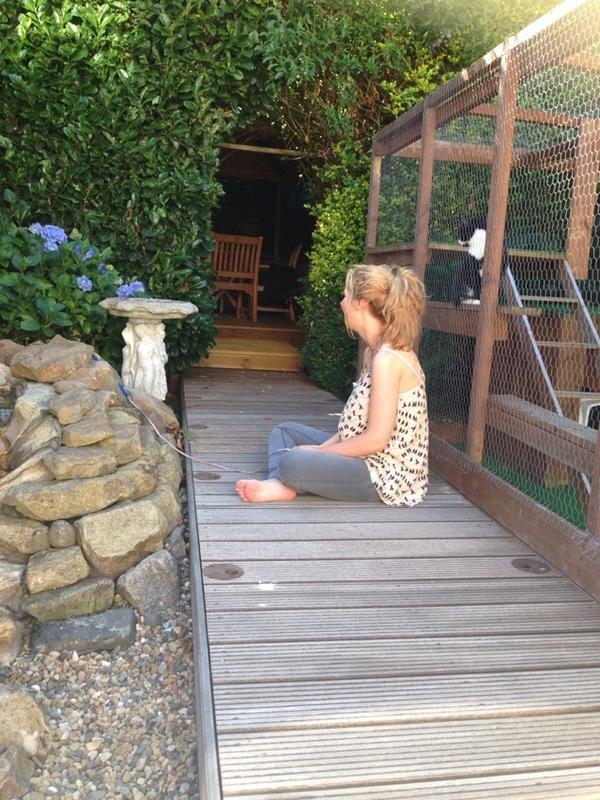 nufc4me's tweet image. @brookewright22 taking cats for a walk #brookestyle