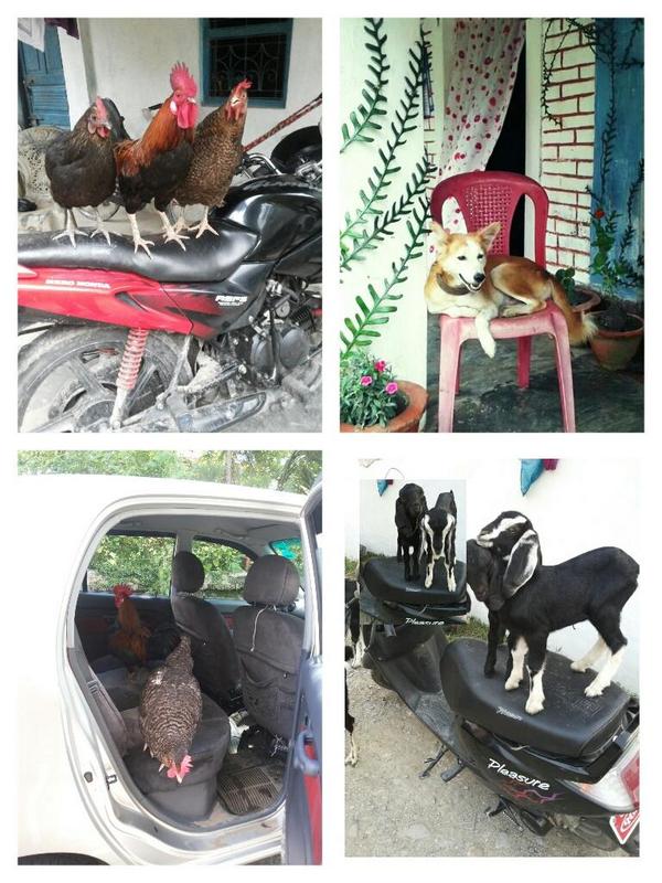 ....  यी मेरा सन्तान हरु....