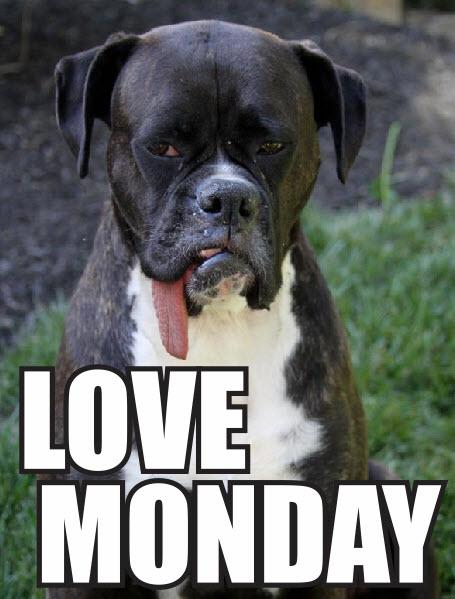 jspeedymorris22's tweet image. Love #mondaymorningproblems