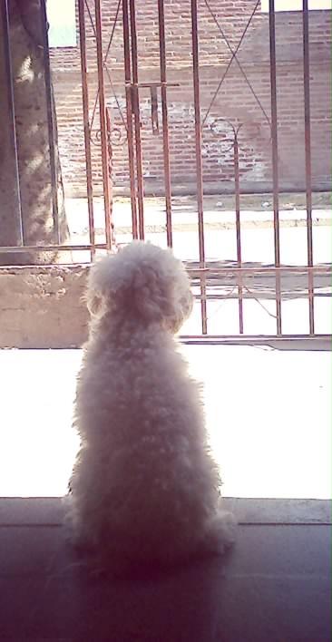 XiiMeeSeeCoo's tweet photo. Esperas a Alguien..??? :) http://t.co/7Y2jkh1FBy