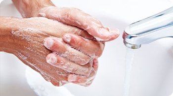 Eagles Landing tweet media