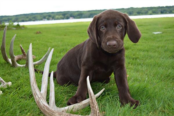 Dante Digangi tweet media