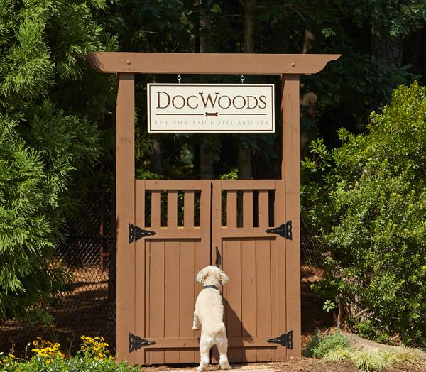 MandGpr's tweet photo. @The_Umstead opens DogWoods for pets w/ a photo contest to win dinner @HeronsNC &amp; 1 night stay http://t.co/6bVg0BdIts http://t.co/OAs31gwJ1e