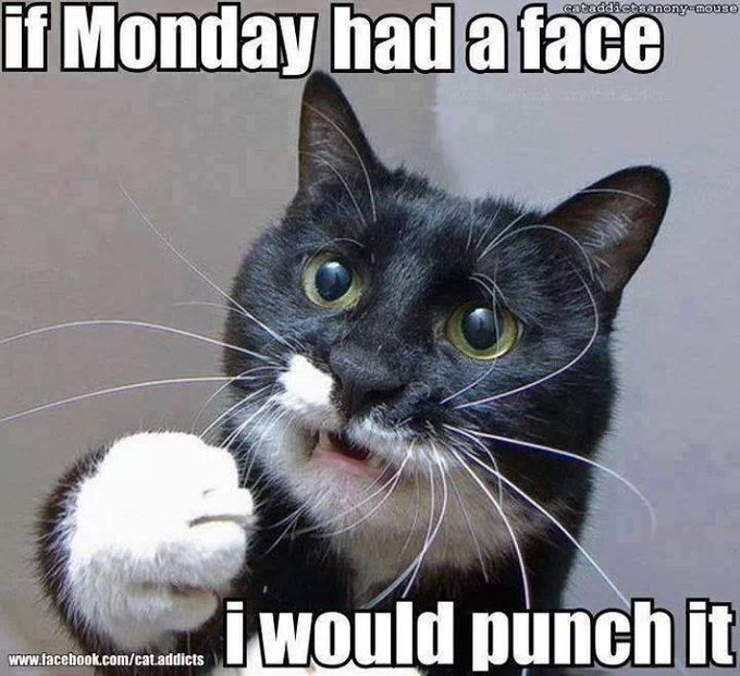 yup, this is totally how I feel this morning, and I promise I'm 2 cups of coffee into the day. http://t<a href="/tag/bbw"class="tags"><span>#bbw</span></a><a href="/tag/bigboobs"class="tags"><span>#bigboobs</span></a><a href="/tag/liveoncam"class="tags"><span>#liveoncam</span></a>