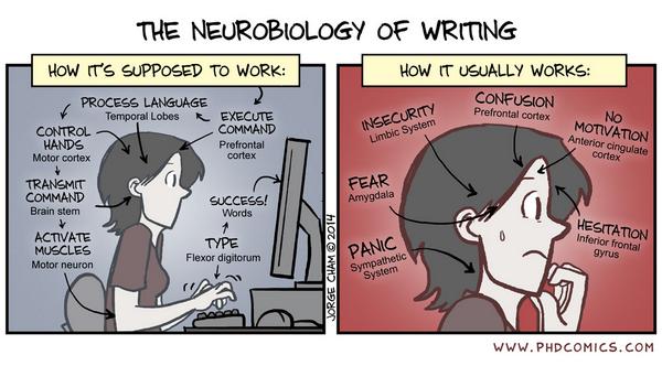 PHD Comics tweet media