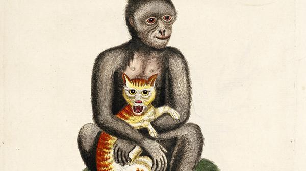 BioDivLibrary tweet picture