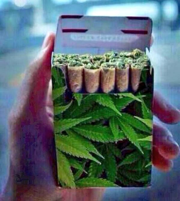 TheWeedPage's tweet image. The future