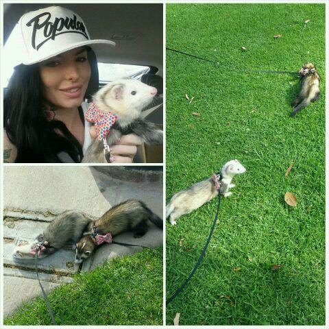 And here are my boys at the park yesterday http://t.co/qdYsuZRjpK<a href="/tag/themacktour"class="tags"><span>#themacktour</span></a>