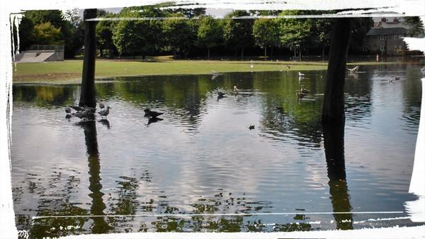 WilliamBoon1819's tweet photo. @WorthingComPlay The ornamental lake has returned to the People's Park (Homefield) http://t.co/oEESlIoCRh
