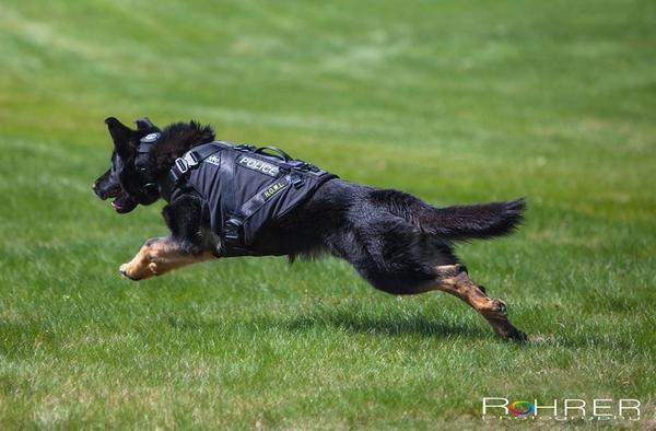 Have you checked out our Ballistic Vests? We enable maximum mobility with our lighter, easy to fit vest for all sizes