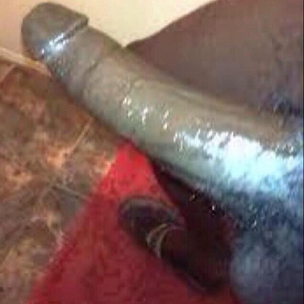 mans44701's tweet photo. حريمنا  يالبدو مايبون لا زب العبد لنه فحل ويضرط مكاويهم ضرط http://t.co/giWrWH7aIO
