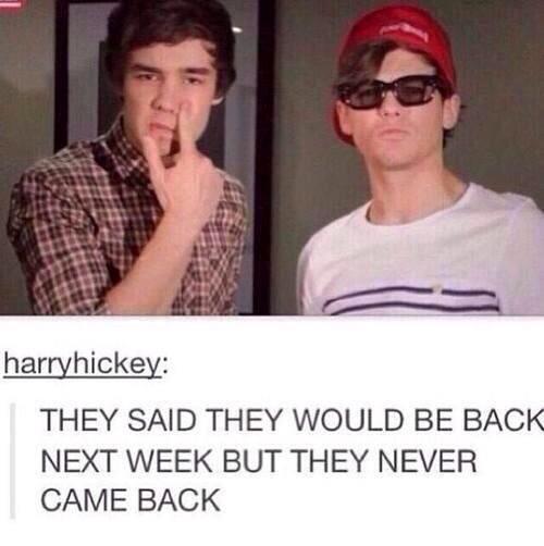 doodhpattiiii's tweet image. this i why i have trust issues
#MTVHottest One Direction 
#BestFandom2014 Directioners