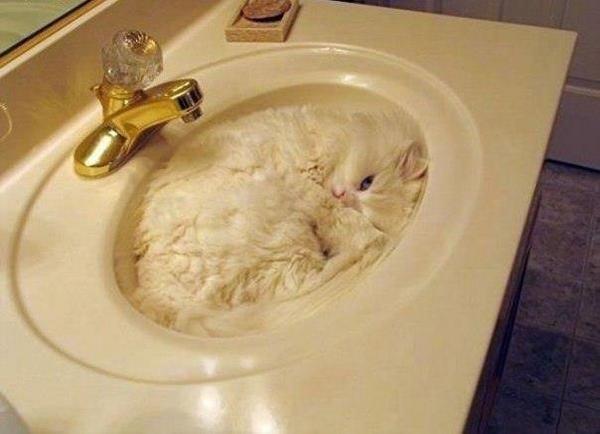 Elverojaguar's tweet photo. https://t.co/i1r4fng36R