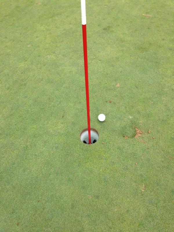 Steindler Signs tweet media