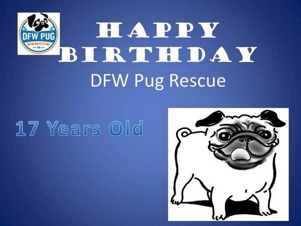 DFW Pug Rescue Club tweet media