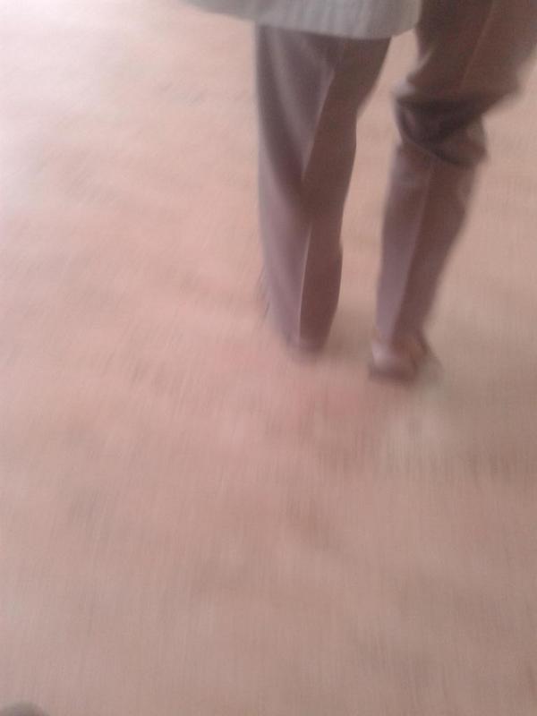 pencarrow1's tweet photo. @sockssandle not my best one I have taken http://t.co/BhDfZX7SU8