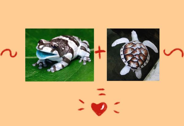 Lauren Edwards tweet media