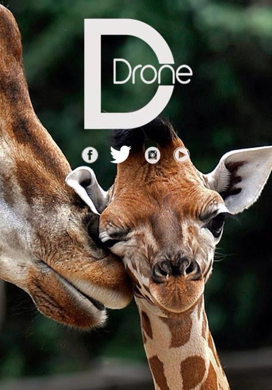 DDron3 tweet picture
