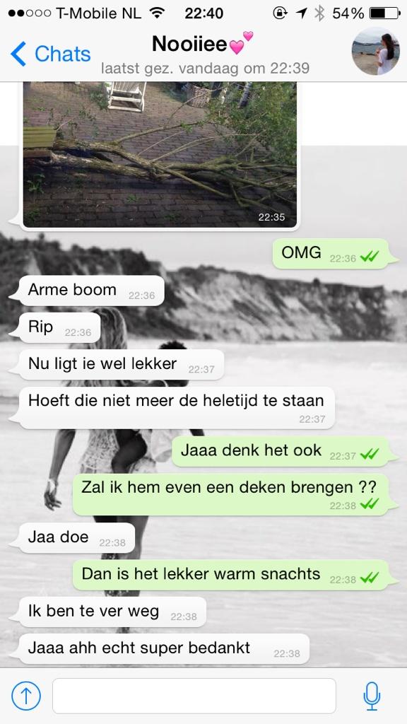 Noax__'s tweet photo. “@Shaniaaa__: Arme boom van @Noax__ http://t.co/quSJmIzcZR” r.i.p 💔😭 gelukkig breng jij hem een deken voor vanacht!