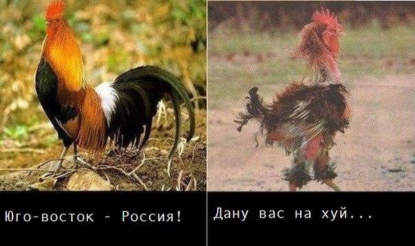 В Донецке отключили оставшиеся украинские телеканалы, - СМИ - Цензор.НЕТ 3620