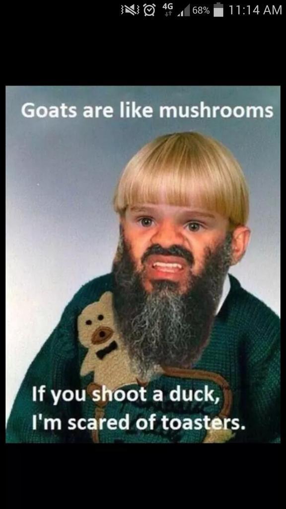 a_hole18's tweet photo. This is what your child will come out like @Jfrazzldazzle71 #bearded http://t.co/aNwOnZIyJl