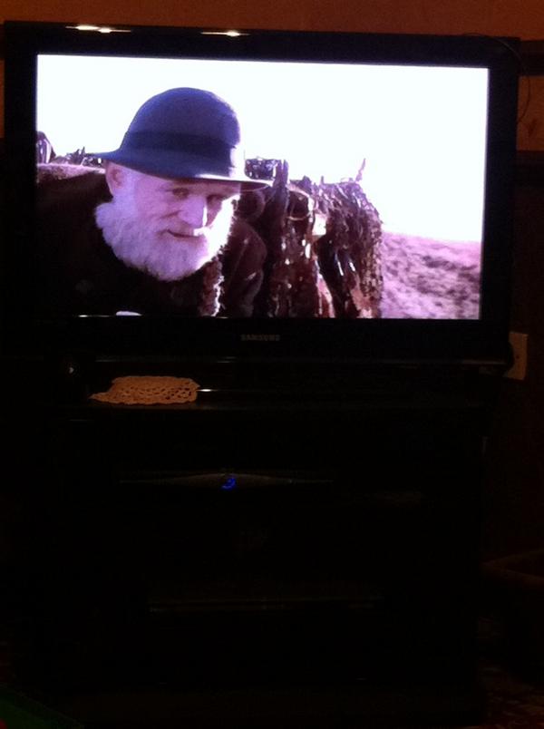 babs_campbell's tweet photo. He dont mess about #Thebull #thefield #classic http://t.co/QTRgxFcpsM