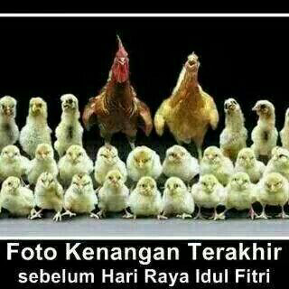 dito_baskoro's tweet photo. Ayam ayam nya sudah siap antri http://t.co/4Y2kdwv2hU