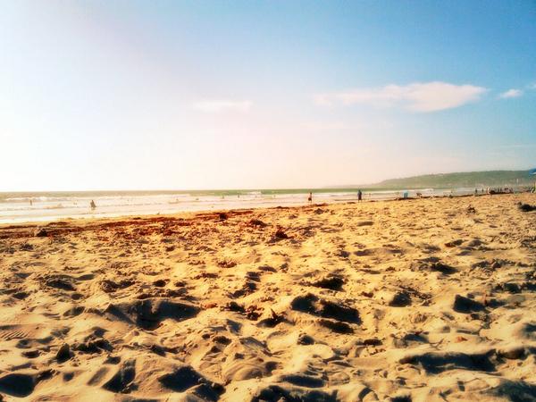 BAREbeats's tweet photo. Yeah #sandiego! After more than a year here I'm starting to realize how many palm trees there are. http://t.co/Ry4R8vzr4A