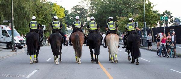 The troop working with the crowd for the Celebration of Lights. A behind the scene view.
