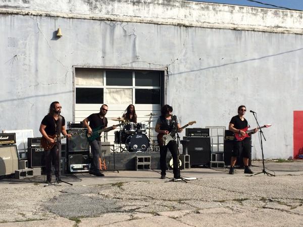 Cabbage Pie tweet media