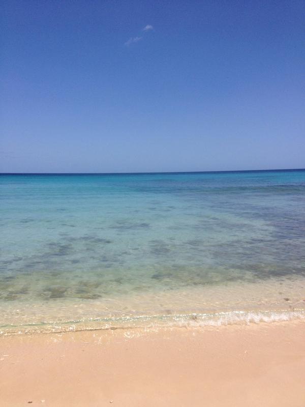 Sarahh92687's tweet photo. 🌴☀️ Lovin Barbados! #traveling http://t.co/wcDEPVFr2Q