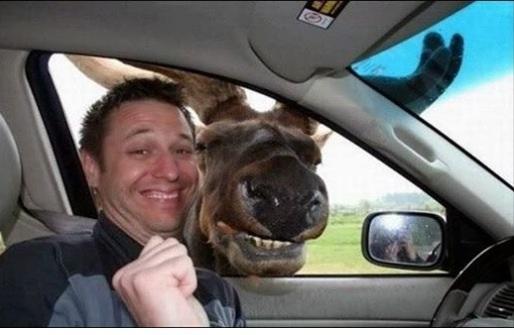 #BlueVoices 🌊 #FBR 🌊 #F4F 🌊 #FBPE🌊 #Follow tweet media