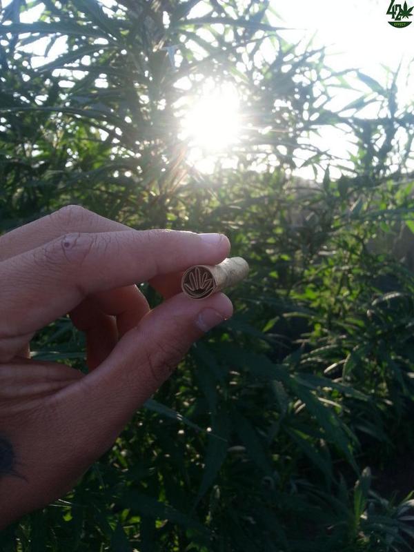 420Effect's tweet image. Points for trying :)