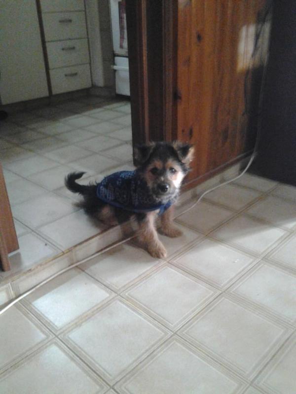 Delfrade's tweet photo. Laaa aleee bella como ella solaa http://t.co/UrtTXgqTmo