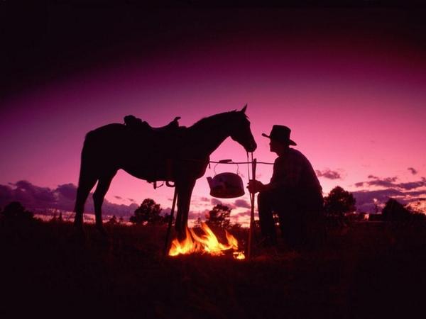 normandie2014's tweet photo. [QUOTE] "Even without a rider, a horse is still is a horse. But a rider without a horse is just a man" #WEG2014 http://t.co/Kw9pZwqt0T