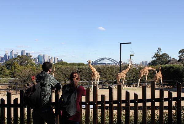 PlayStationAU's tweet photo. These two look familiar #Sydney #TheLastOfUs http://t.co/UusvMvMV0z