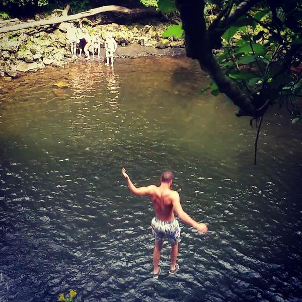 dayle painter (@doylepaintz) on Twitter photo 