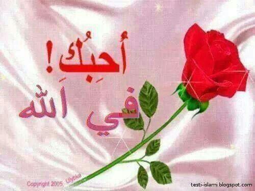 BuziJ's tweet photo. @AljmeelaLa http://t.co/1NYFWdBV4b