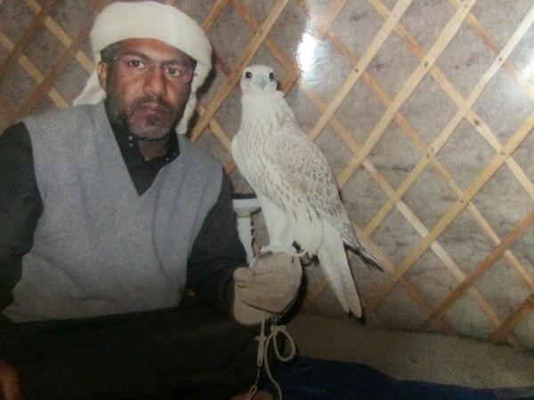 فرخ طرح منغوليا ٢٠١٠