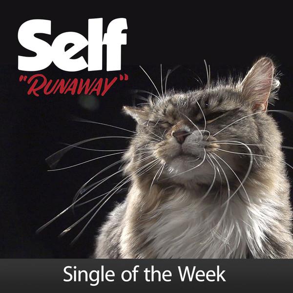 iTunesFSOW's tweet photo. Runaway by sElf @mattmahaffey is free single of the week on iTunes US http://t.co/WBuo6l0YW2 #iTunes #SOTW #USA http://t.co/TwXtKcyUU7