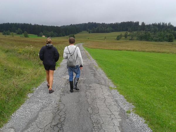 On our way to try to find a very rare orchid. Hammarbya palludosa. Only 5 plants known from this site. One of 3 sites