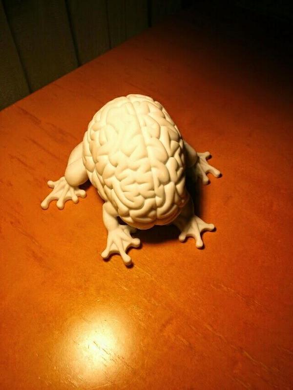 riorinchan1's tweet image. #jumpingbrain 5inch white
suzuki-trading.shop-pro.jp/?pid=54786603
