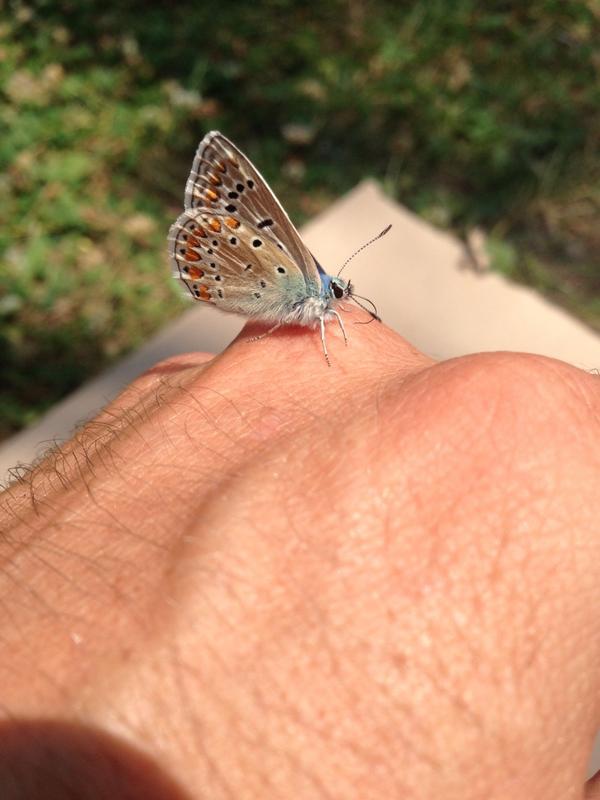 dospatch's tweet image. 