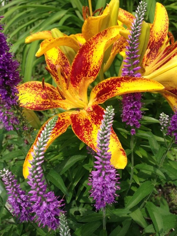 dospatch's tweet image. 