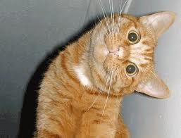 John____McClane's tweet photo. Cuando tu fiche cuelga una foto #AnálisisProfundo #SuspirosDeEspaña http://t.co/SL3eDoRmzz