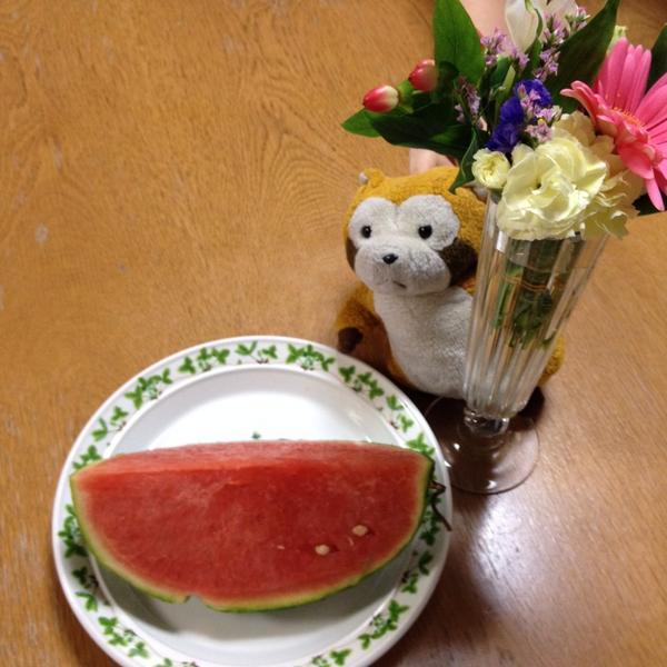 rascalmagic1's tweet image. ヒロちゃん、お花ありがとう。
ぼくの大好物のスイカどうぞ。
