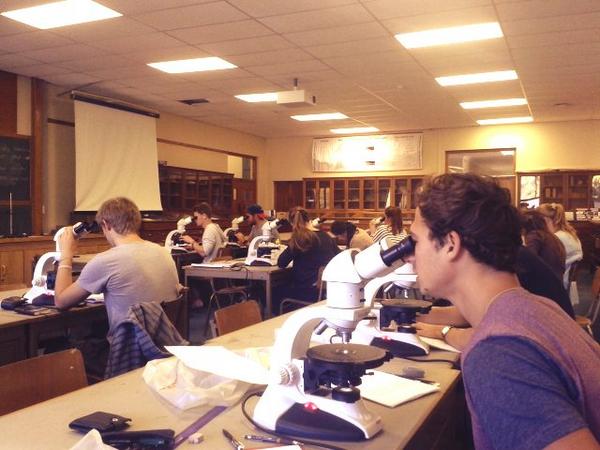 warwick watt (@warwick_watt) on Twitter photo 