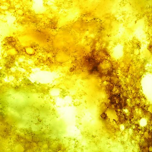 GraniteXchange's tweet image. Care to be 'enlightened' 
Back-lit #TranslucentQuartz
#Design 
#Interiors 
#InteriorDesign