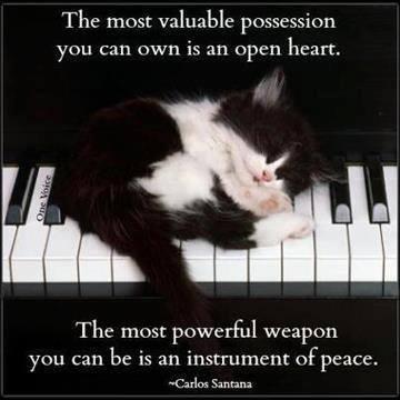 𝕮𝖆𝖒𝖎𝖑𝖑𝖆 ❧ tweet media